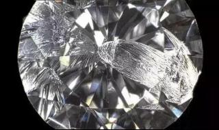 无重力碎片 无重力碎片